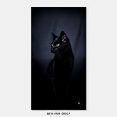 351mil Plaj Havlusu BTW-ANM-0002 CAT